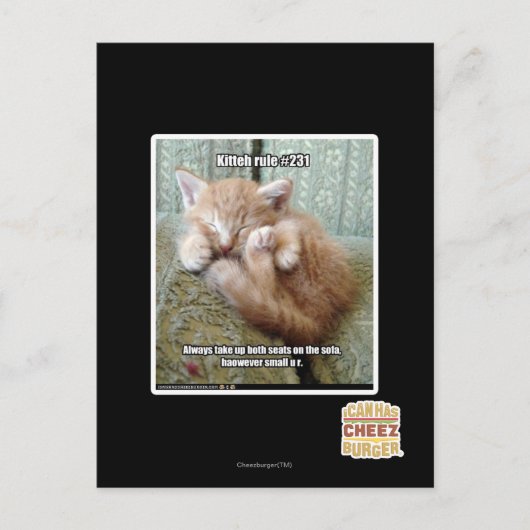 Kitteh-Regel #231 Postkarte (Vorderseite)