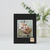 Kitteh-Regel #231 Postkarte (Stehend Vorderseite)