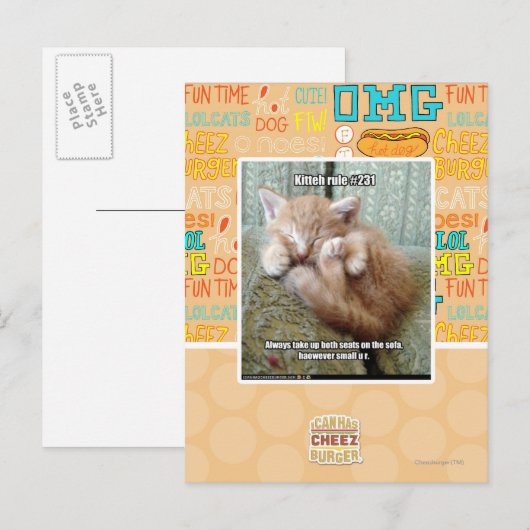 Kitteh-Regel #231 Postkarte (Vorne/Hinten)