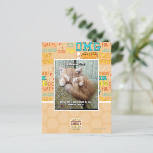 Kitteh-Regel #231 Postkarte (Stehend Vorderseite)