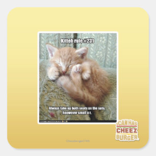 Kitteh-Regel #231 Quadratischer Aufkleber