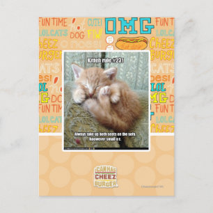 Kitteh rule #231 postkarte