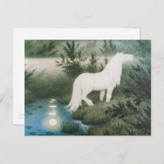 Kittelsen Der Hals als weißes Pferd CC0823 Postkarte (Vorne/Hinten)