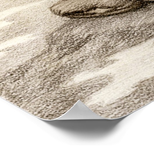 Kittelsen Troll fragt sich, wie alt er ist CC0040 Poster (Ecke)