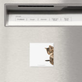 Kitten 2 magnet (In Situ (Geschirrspüler))