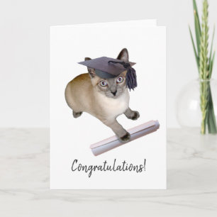 Kitten Abschluss Card Karte