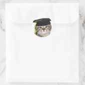 Kitten-Absolventen Runder Aufkleber (Tasche)