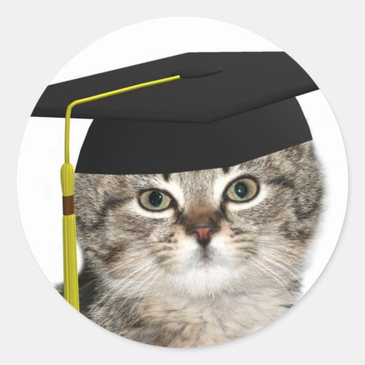 Kitten-Absolventen Runder Aufkleber (Vorderseite)