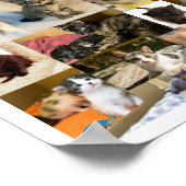 Kitten Academy 1 Year Poster (Ecke)