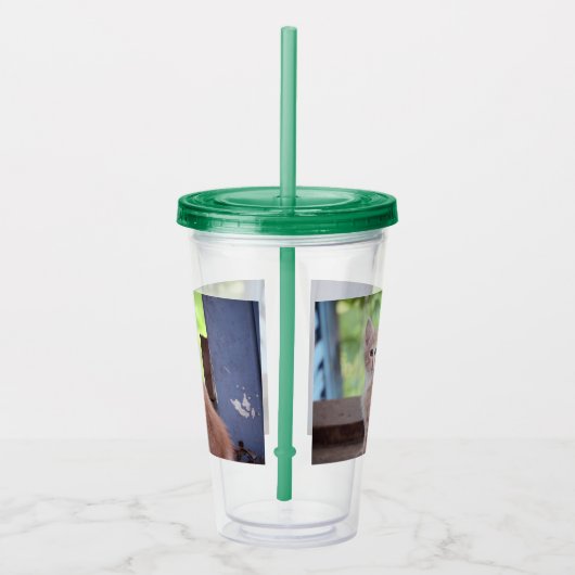 Kitten Acryltrinkbecher (Rechts)