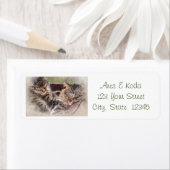 Kitten Address Labels (Insitu)