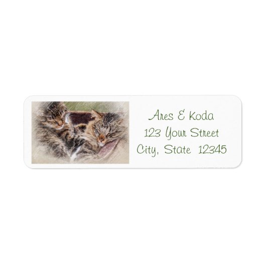 Kitten Address Labels (Vorne)