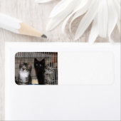 Kitten Adoptier und Liebe Rücksendeadressen-Aufkle (Insitu)