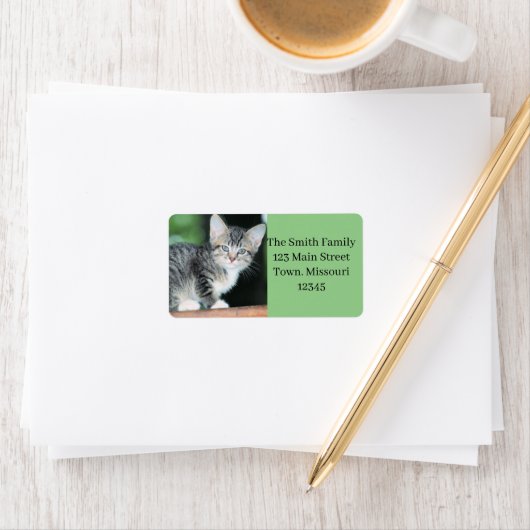 Kitten Adressaufkleber (Insitu)