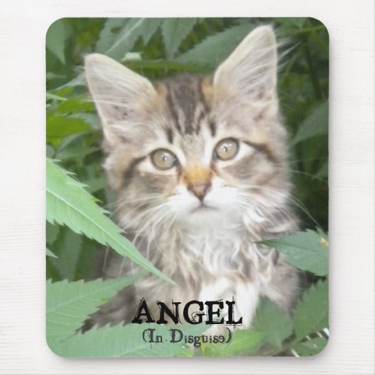 KITTEN = ANGEL (in verschleierter Form) Mousepad (Vorne)
