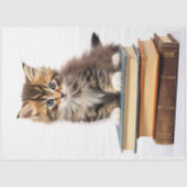 Kitten auf Buchstapel 2 Dekoupage Paper Seidenpapier (Vorderseite)