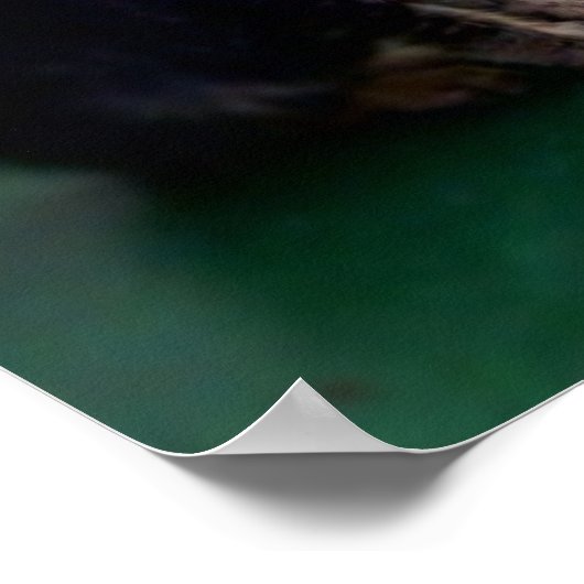 Kitten auf dem Dach Poster (Ecke)