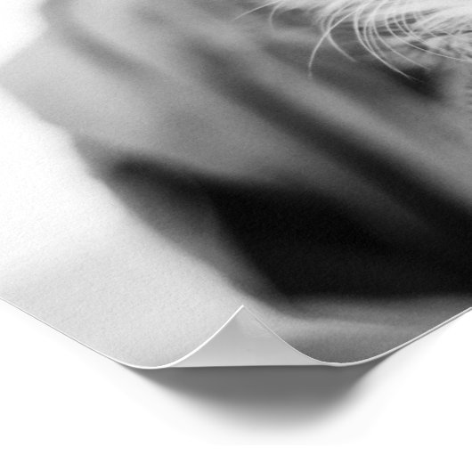 Kitten auf dem Stuhl Poster (Ecke)