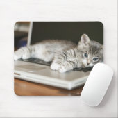Kitten auf Laptop-Computer Mousepad (Mit Mouse)
