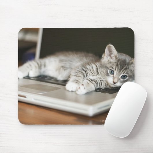 Kitten auf Laptop-Computer Mousepad (Mit Mouse)