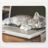 Kitten auf Laptop-Computer Mousepad (Vorne)