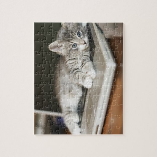 Kitten auf Laptop-Computer Puzzle (Vertikal)