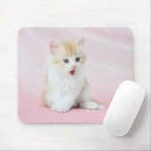 Kitten auf rosa Hintergrund Mousepad (Mit Mouse)