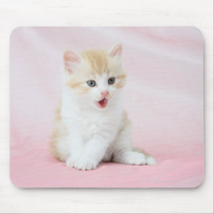 Kitten auf rosa Hintergrund Mousepad