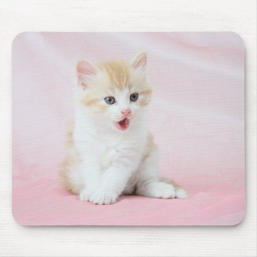 Kitten auf rosa Hintergrund Mousepad (Vorne)