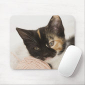 Kitten auf Streichkugel Mousepad (Mit Mouse)