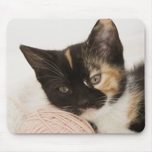 Kitten auf Streichkugel Mousepad (Vorne)