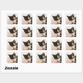 Kitten auf Streichkugel Quadratischer Aufkleber (Blatt)