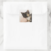 Kitten auf Streichkugel Quadratischer Aufkleber (Tasche)