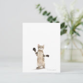 Kitten auf weißem Hintergrund Postkarte (Stehend Vorderseite)