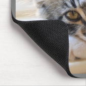 Kitten auf Windows-Maus-Pad Mousepad (Ecke)