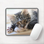 Kitten auf Windows-Maus-Pad Mousepad (Mit Mouse)