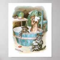 Kitten Bath von Louis Wain