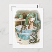 Kitten Bath von Louis Wain Postkarte (Vorne/Hinten)