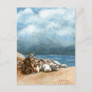 Kitten Beach Storm Postcard Postkarte