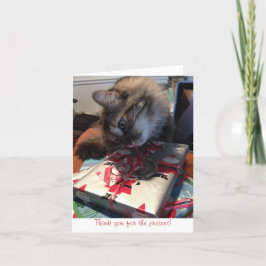 Kitten bedanken Sie sich Dankeskarte