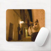 Kitten bei Dämmerung, Marokko Mousepad (Mit Mouse)