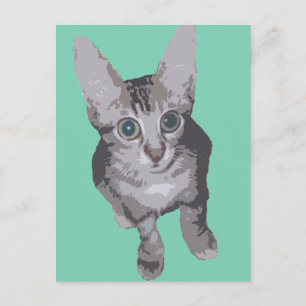 Kitten Big Eyes Pop Art Postkarte