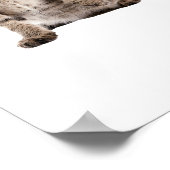 Kitten-Bild für Poster (Ecke)