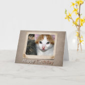 Kitten Birthday Card Karte (Gelbe Blume)