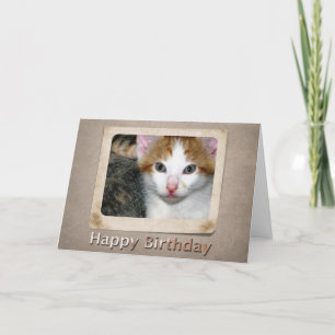 Kitten Birthday Card Karte