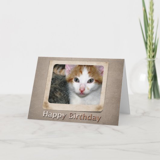 Kitten Birthday Card Karte (Vorderseite)