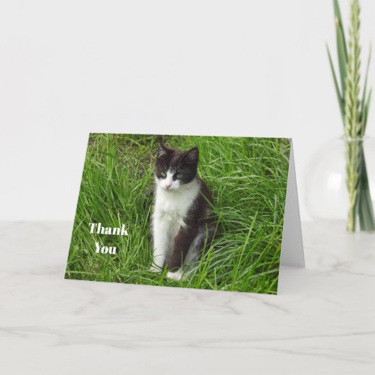 Kitten Black and White Cat Foto Dankeskarte (Vorderseite)