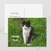 Kitten Black and White Cat Foto Vielen Dank Postkarte (Vorne/Hinten)