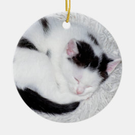 Kitten Black and White Schlafen Foto Keramik Ornament