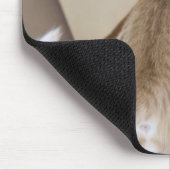 Kitten Blick in den Abgrund einer Tasche Mousepad (Ecke)